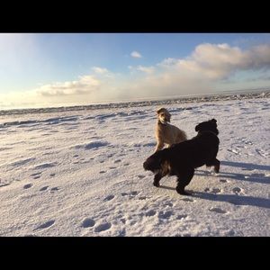 Meet your Posher, Erin