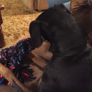 Meet your Posher, Paula