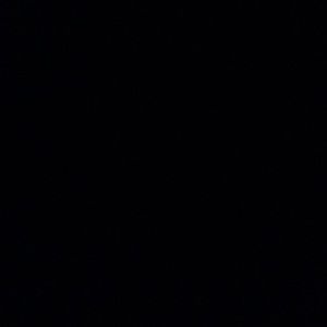 Meet your Posher, Callie