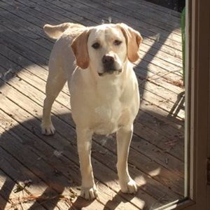 Meet your Posher, Kari