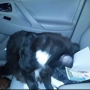 Meet your Posher, Steph