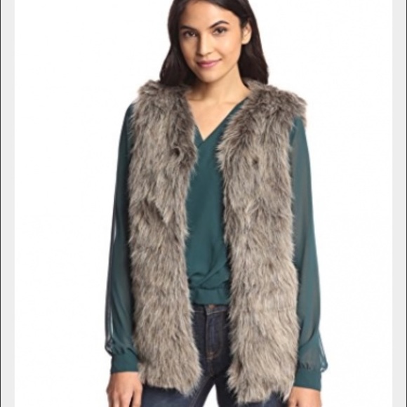 Lezalez Jackets & Blazers - 🌟 fur vest never worn