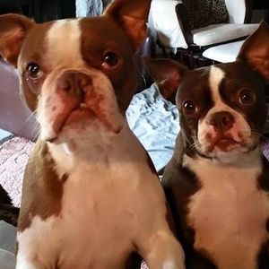 Meet your Posher, Kasandra