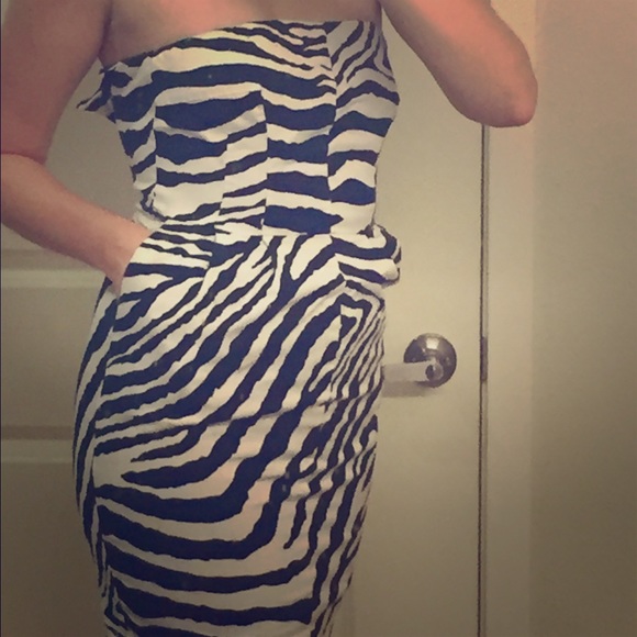 Sexy Zebra print dress