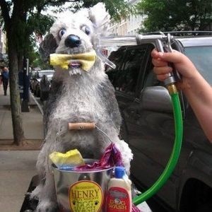 Meet your Posher, Barbara