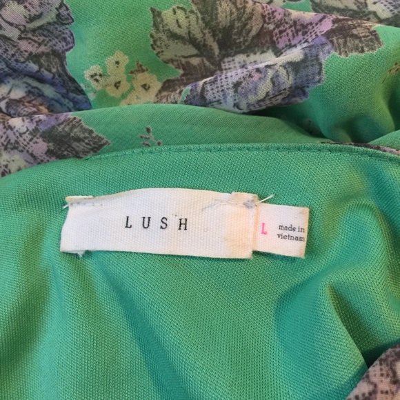 Lush - Picture 4 of 4