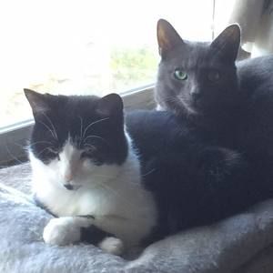 Meet your Posher, Kate