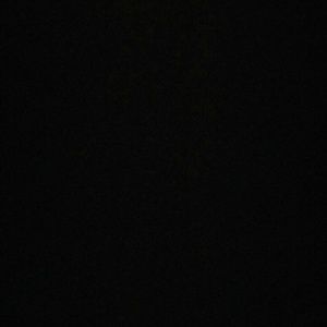 Meet your Posher, Misty