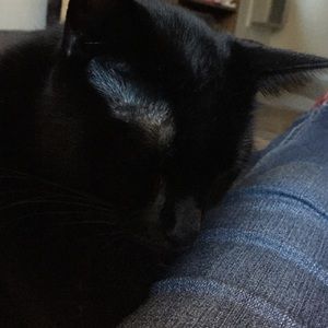 Meet your Posher, Nancy