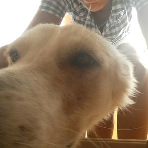 Meet your Posher, Nikki