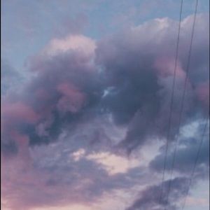 Meet your Posher, Bailey