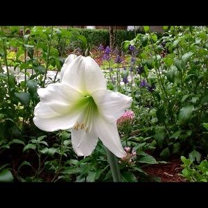 Meet your Posher, Mary