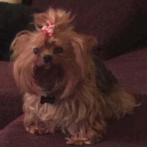 Meet your Posher, Cindy