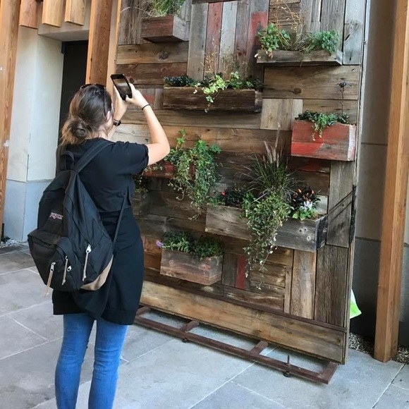 Meet your Posher, Alisa - Picture 4 of 6