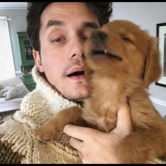 Meet your Posher, Alisa - Picture 6 of 6