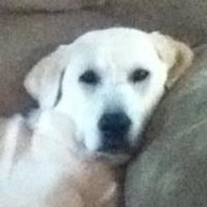 Meet your Posher, Patty