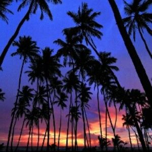 Meet your Posher, Chloe'