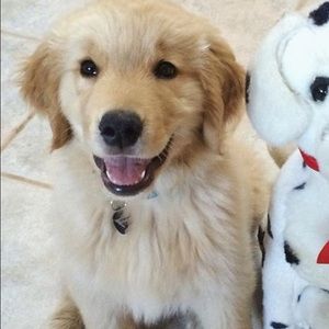 Meet your Posher, Macie