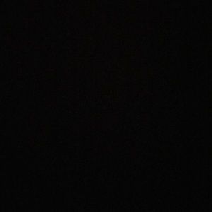 Meet your Posher, Allie