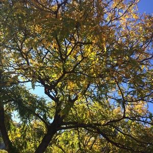 Meet your Posher, Cassandra