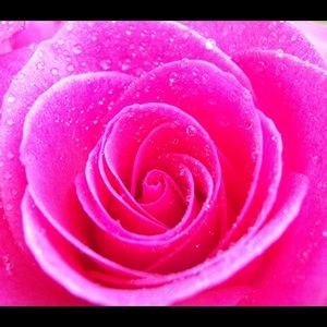 Meet your Posher, Kay