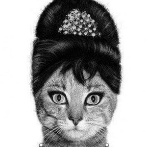 Meet your Posher, Morgan