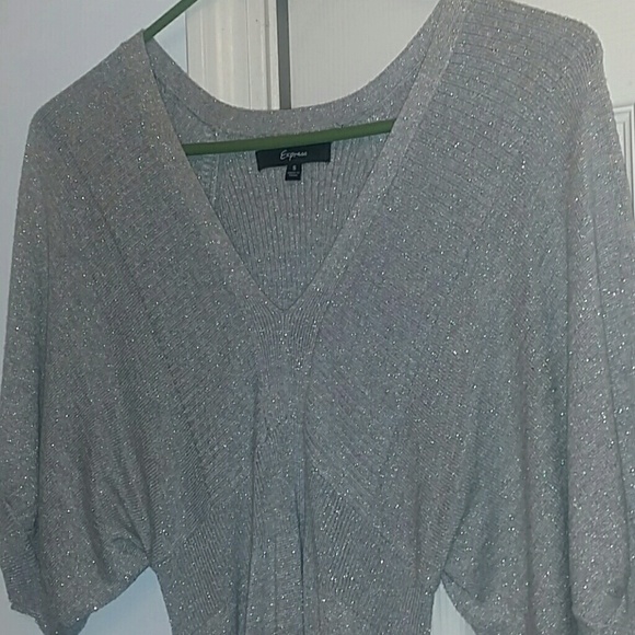 Express Sweater Dress