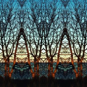 Meet your Posher, Joni