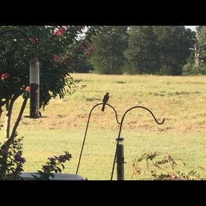 Meet your Posher, Julia