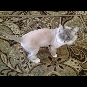 Meet your Posher, Anita