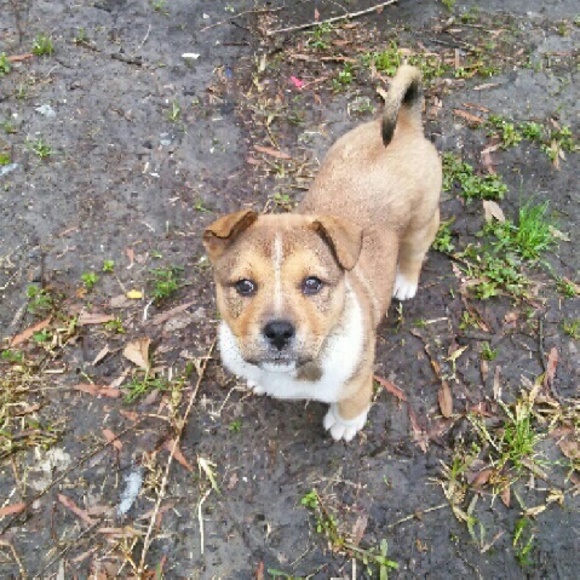 Meet your Posher, Charlene