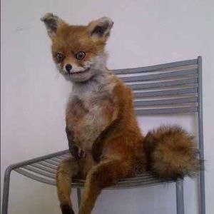 Meet your Posher, Kristin