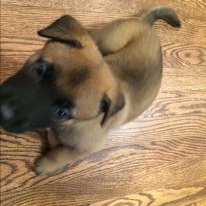 Meet your Posher, Patricia