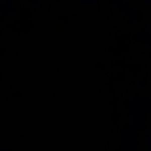 Meet your Posher, Priscilla