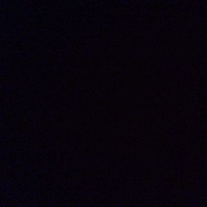 Meet your Posher, Dylan