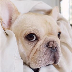 Meet your Posher, Madeline