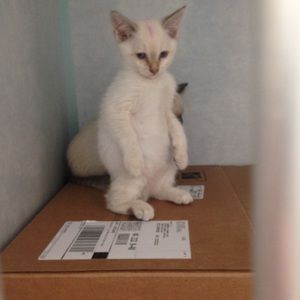 Meet your Posher, Katherine