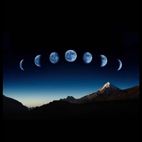 Meet your Posher, Mark - Picture 1 of 1