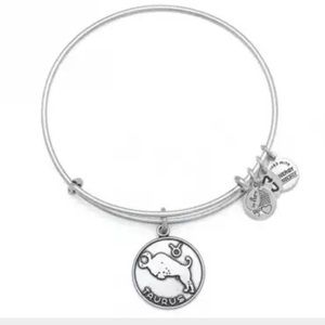 Alex & Ani exp  Taurus bangle in Rafaelian Silver