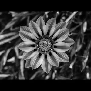 Meet your Posher, Kelley