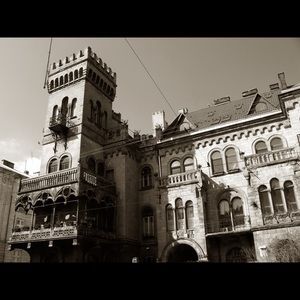 Meet your Posher, Nick