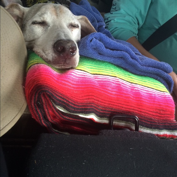 Meet your Posher, Alecia - Picture 2 of 3