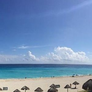 Meet your Posher, Bella