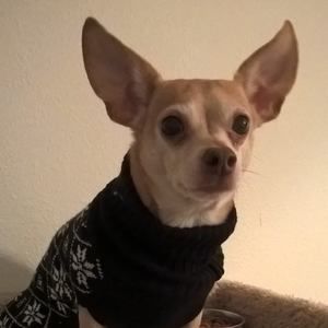 Meet your Posher, Merrieann