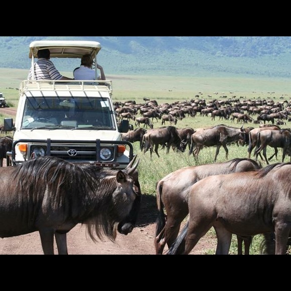 EARRINGS ❤️ - Picture 4 of 4