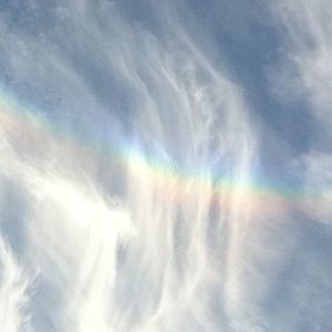 Meet your Posher, Ellen