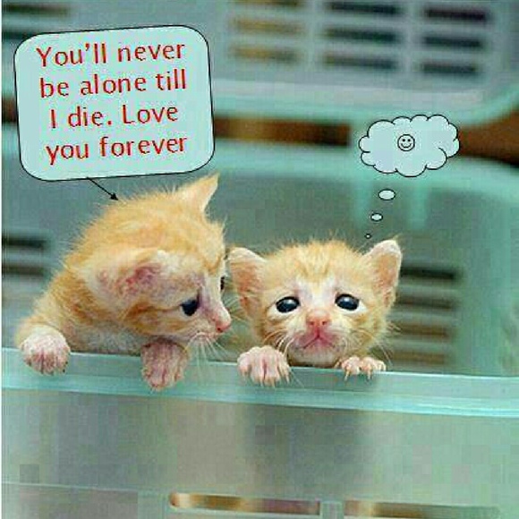 Meet your Posher, Jonna - Picture 2 of 4