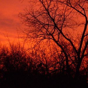 Meet your Posher, Lavelle