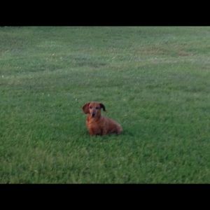 Meet your Posher, Jeanie