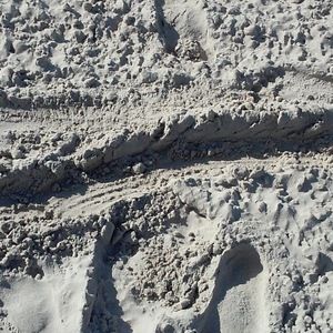 Meet your Posher, Michele